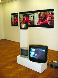 “Cloneyourself i Nekrofilija 2”, s D. Friščićem, galerija VN, Zagreb, galerija OK, Rijeka i “Cloneyourself I i II”, galerija “Otok”, Dubrovnik