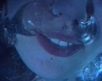 Metamorfoza, izložba instalacije i slika, galerija Matice Hrvatske, Zagreb, 1996.