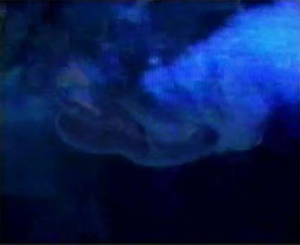 SÝMBOLON, video instalacija i slike ( ulja na platnu), galerija Josip Račić, Zagreb, 1998.