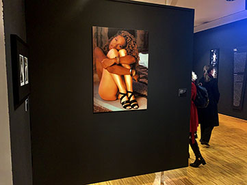 Klon s greškom u pigmentu, ink jet print, 100 x 71 cm, Ikonografija grada II, (1950-2000) VIZIJE GRADA, Moderna galerija (Nacionalni muzej moderne umjetnosti), Zagreb, 2019.